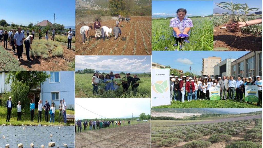 World Environment Day 2024