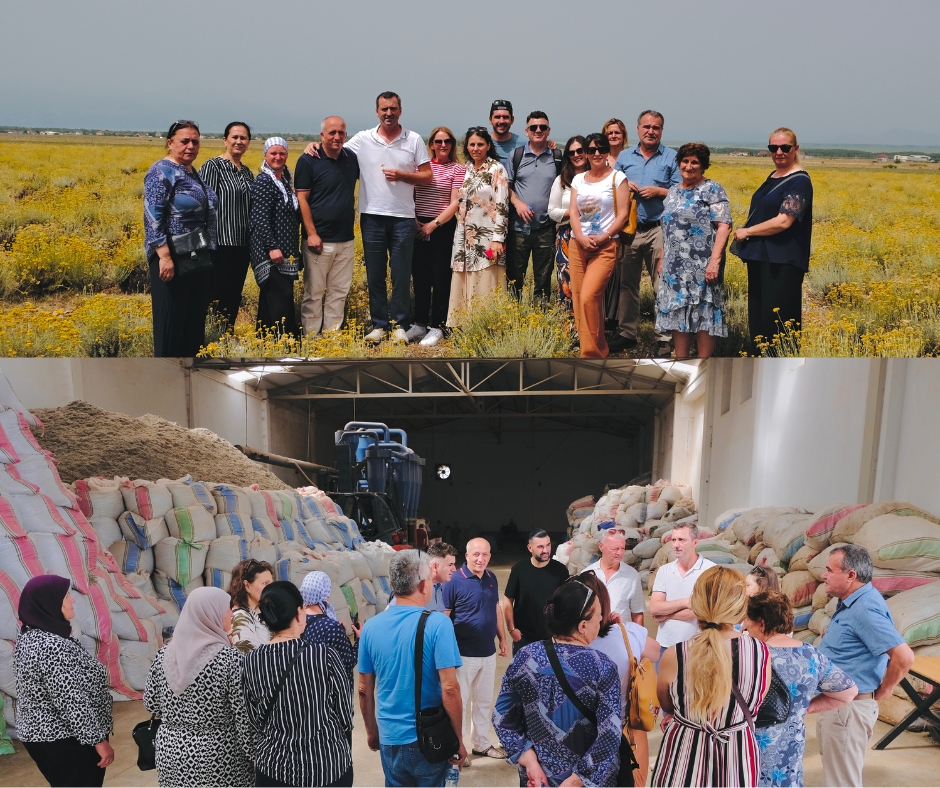 On June 19 and 20, CNVP/PONT sub-grantees participated in a study visit to Shkoder, Albania