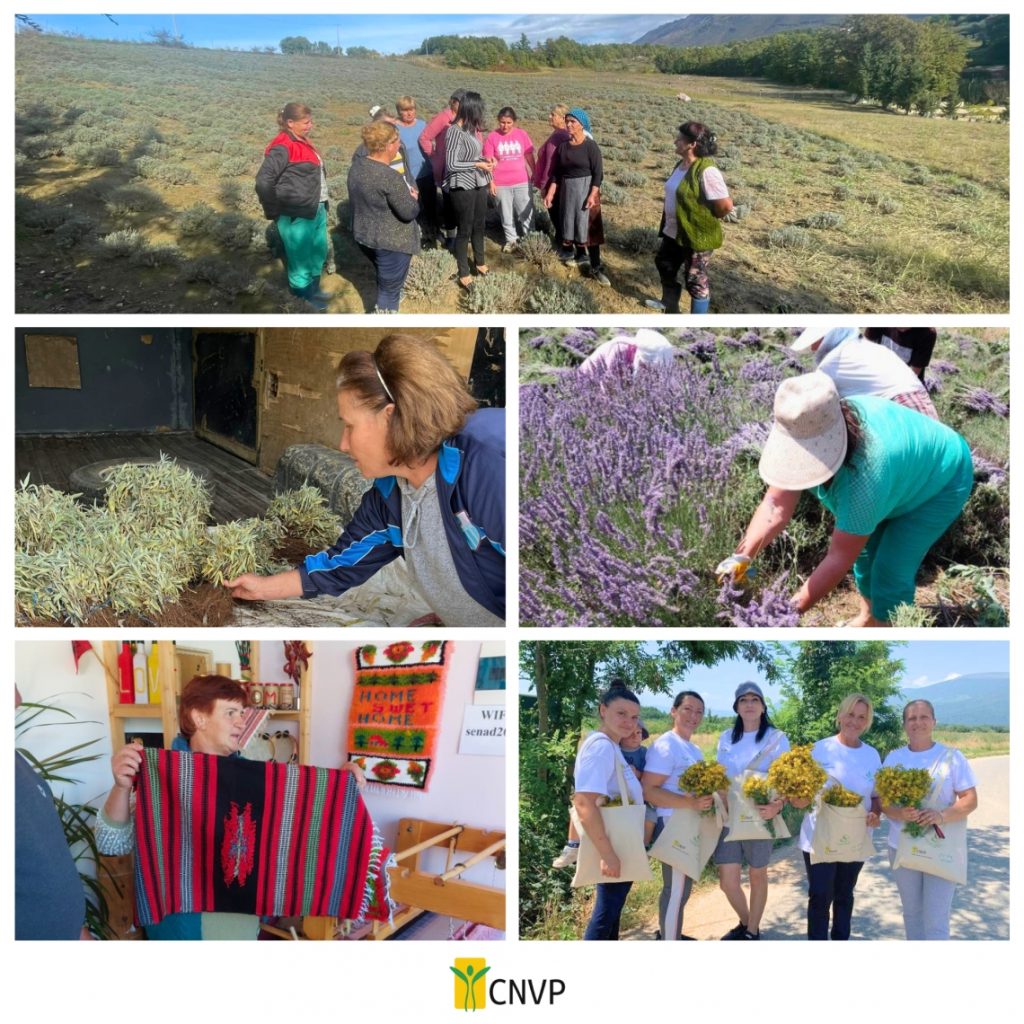 Empowering Women in the Western Balkans: CNVP’s Commitment to Gender Equality
