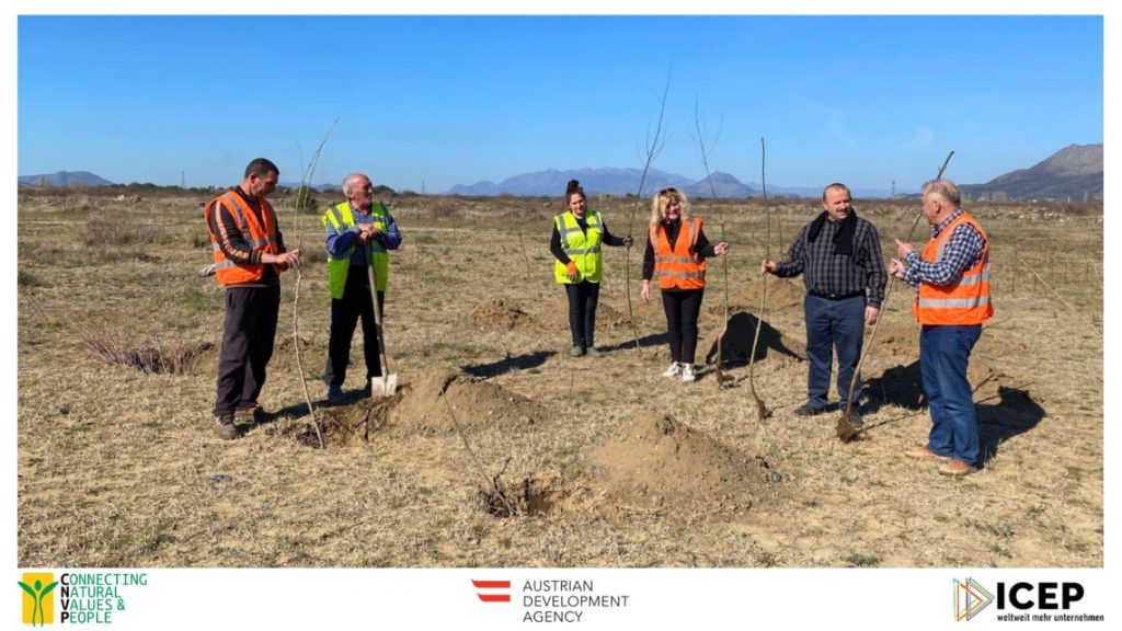 Afforestation Initiative Strengthens Environmental Resilience in Vau i Dejës