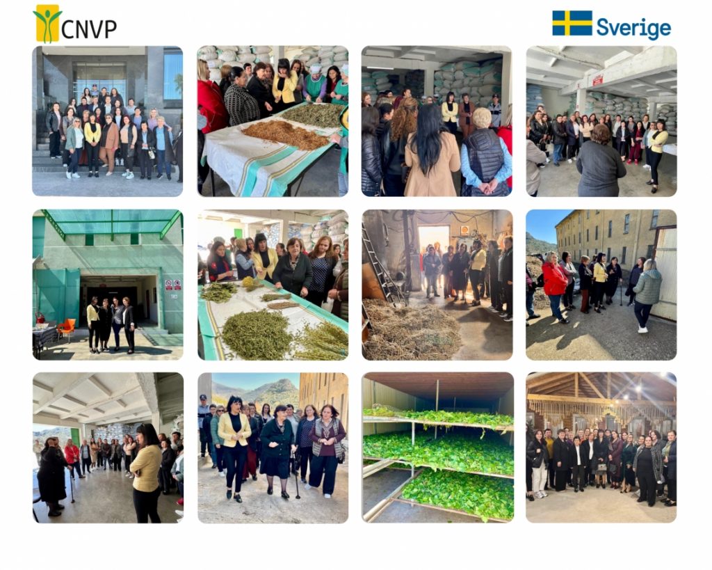 CNVP Albania Unites Women Entrepreneurs in Delvina