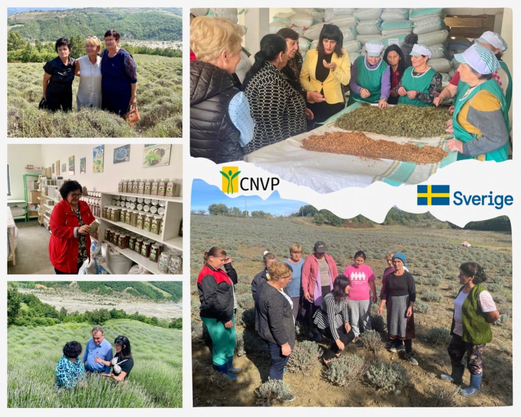 Rural Women Leading Change in Albania’s MAPs Sector