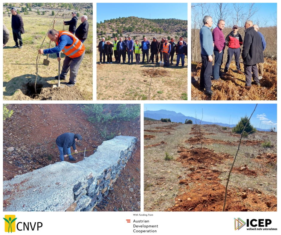 Restoring Nature, Supporting People: A Forest Management Journey