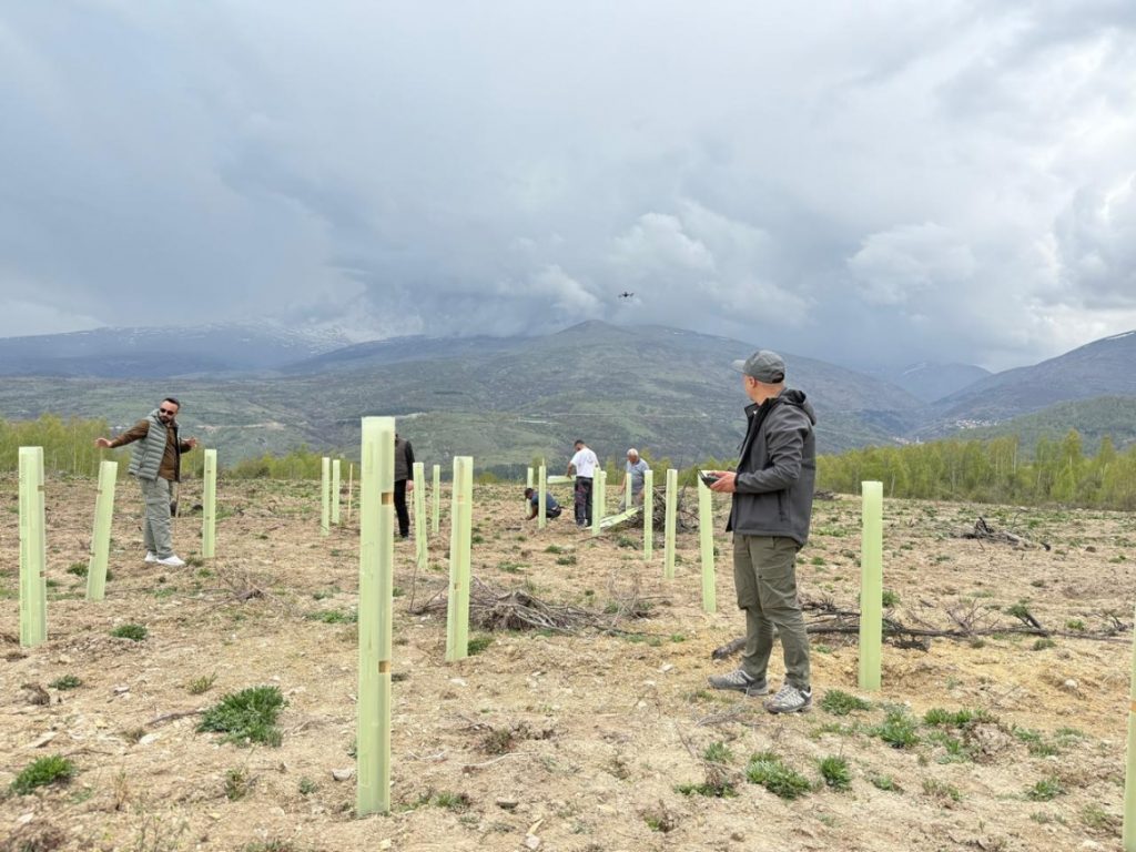 Innovative Approaches in Afforestation and Land Rehabilitation in Dragash