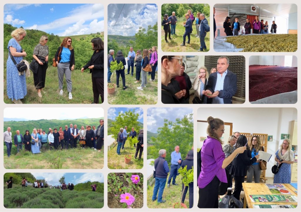 Annual Meeting of CNVP Albania and Sida in Gramsh