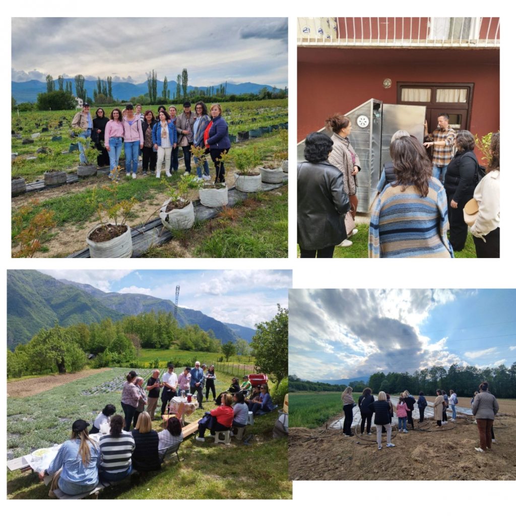 CNVP North Macedonia and (RWoP), on the study visit in Polog and Southwestern regions