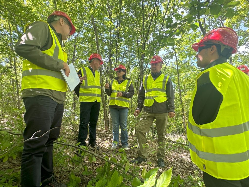 How innovation and environmental responsibility can go hand-in-hand