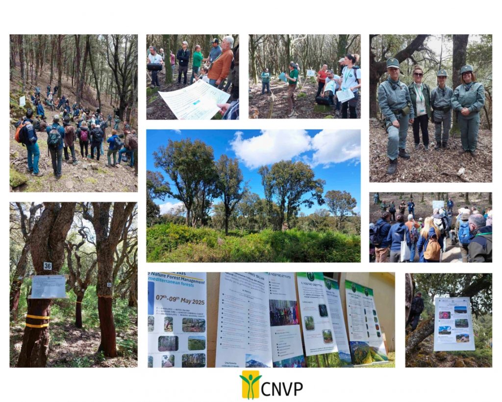 CNVP Participates in Pro Silva International Meeting in Sardinia