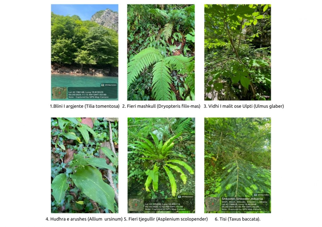 International Day for Biological Diversity – A Call to Preserve the Natural Riches of the Drin River