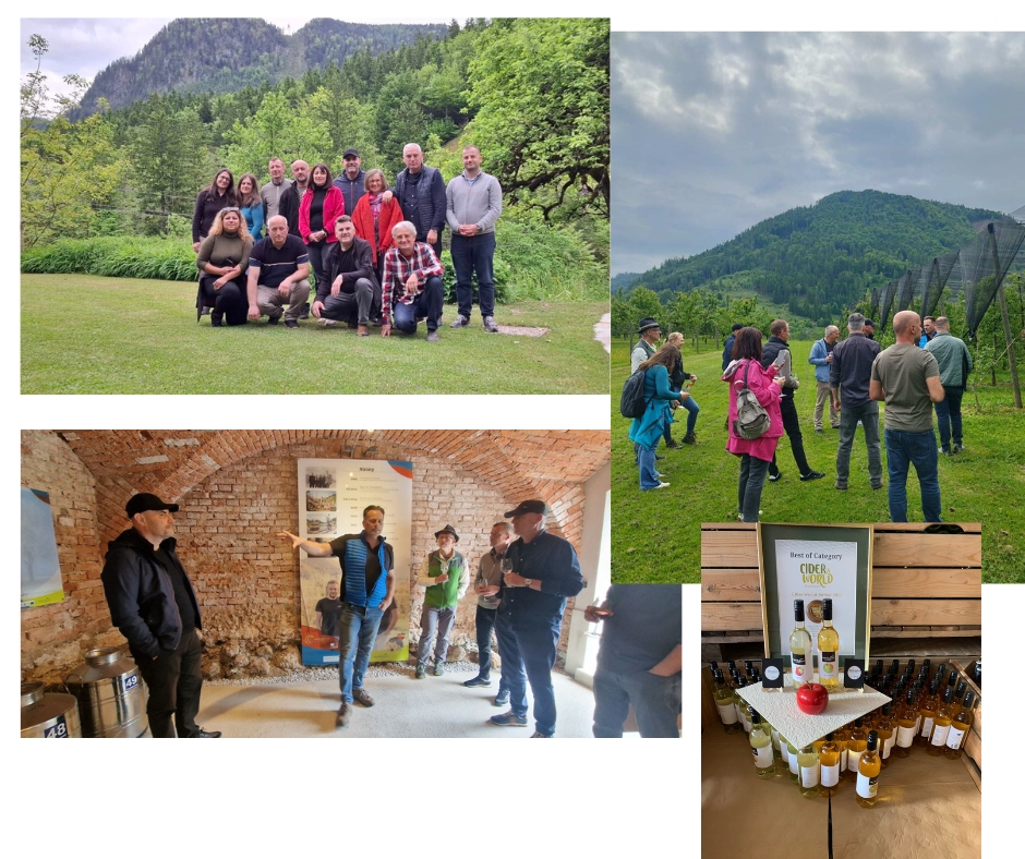 CNVP North Macedonia Continues Study Visit at Gesäuse National Park