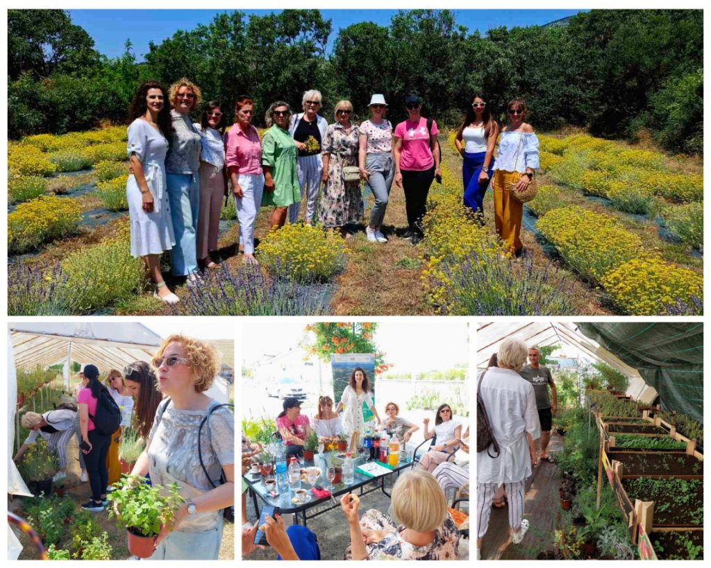Training Empowers Women Entrepreneurs with Practical Skills in Medicinal Herb Business