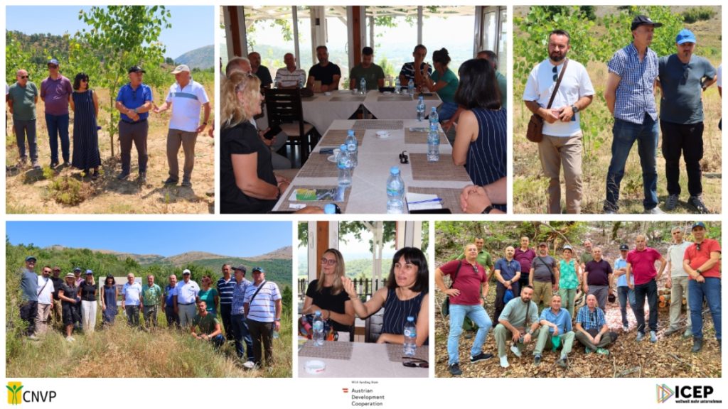 Bridging Forests Across Borders: IFM Study Visit in Montenegro and Albania