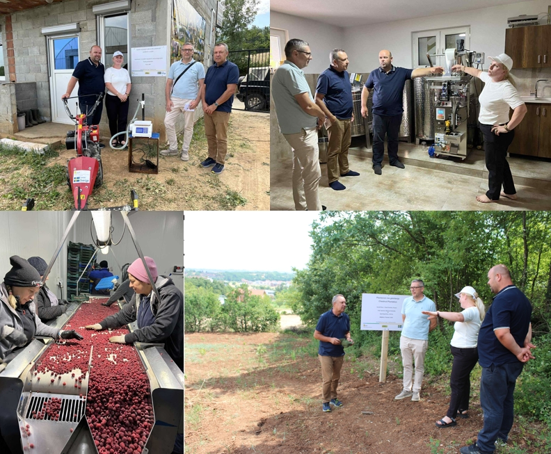 SUNREED in Action: Showcasing Sustainable Impact