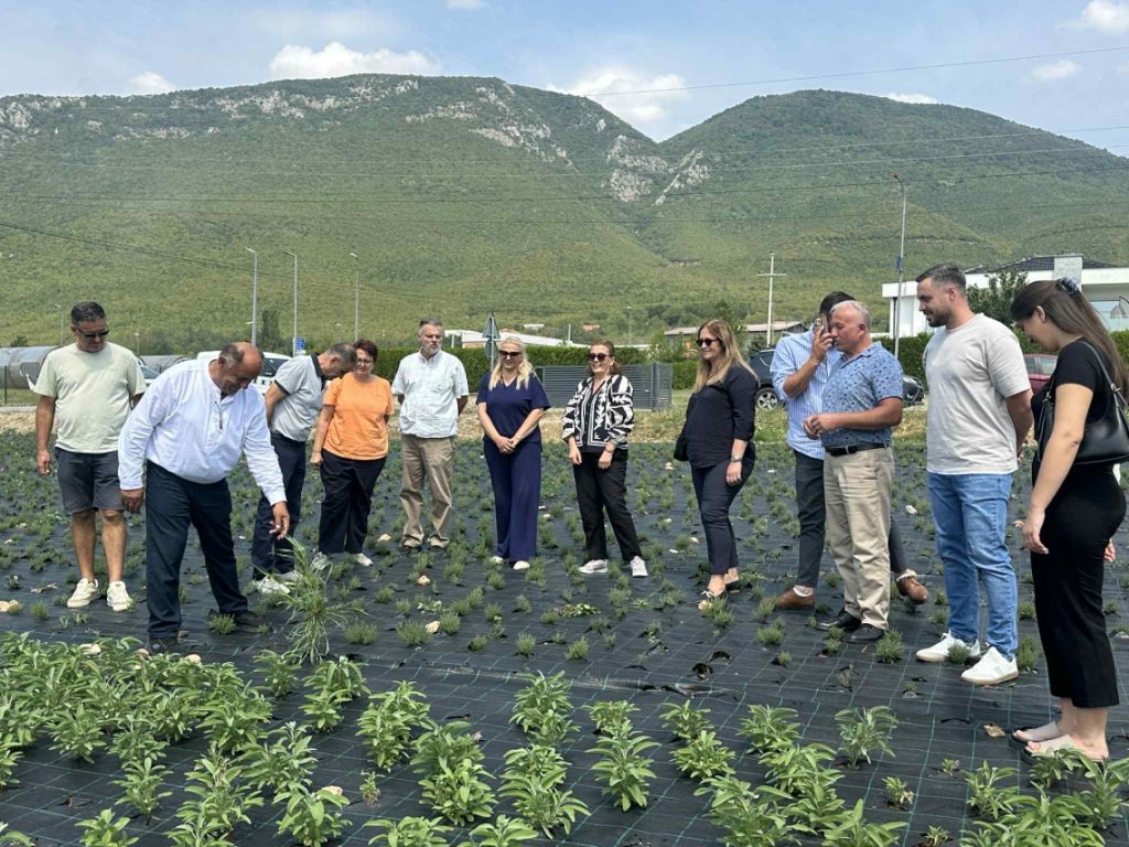 Farming Day in Istog