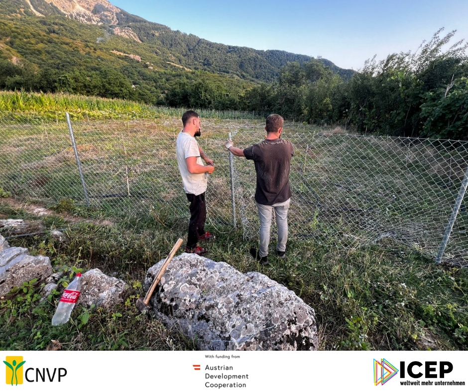 Expanding Walnut Plantations in Shala Valley through IFM Project