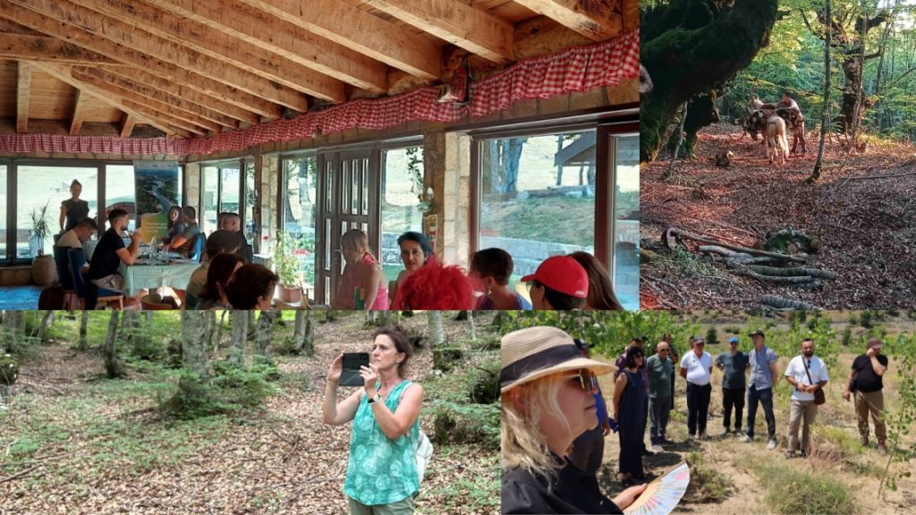 Workshops Highlight Women’s Role in Forestry and Climate Action