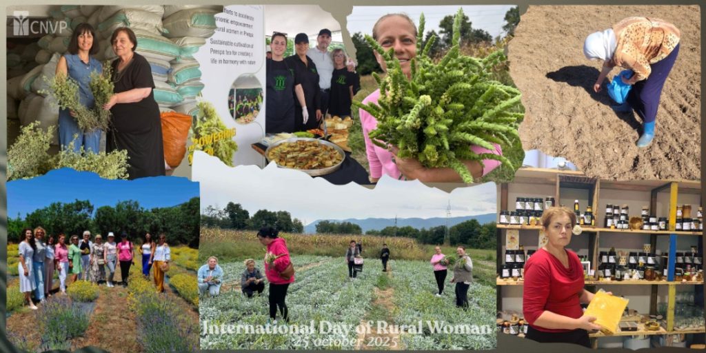 Empowering Rural Women Across the Western Balkans