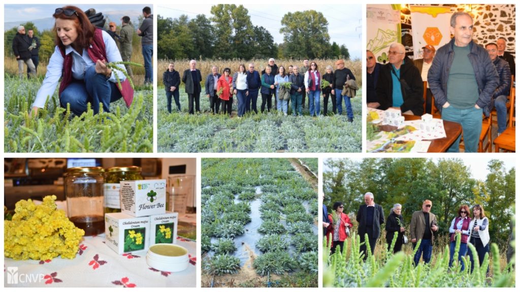 Albanian subgrantees share experience with North Macedonia partners in PONT study visit