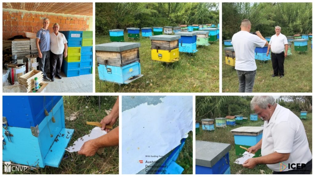 Supporting Sustainable Beekeeping in Shale Valley
