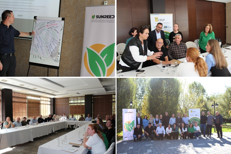 CNVP Advances Circular Economy in the Forestry Sector
