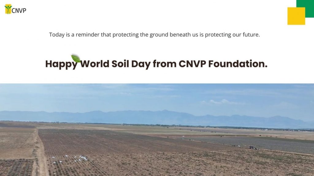 World Soil Day: Why Healthy Soil Matters for Our Forests and Communities