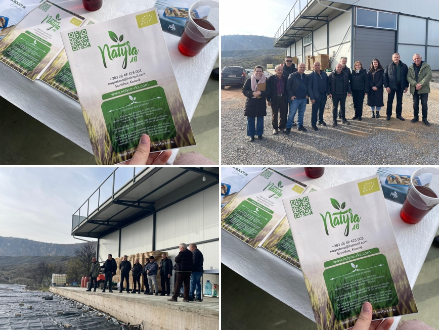 Field Day with Local Farmers and Experts in Novo Berde