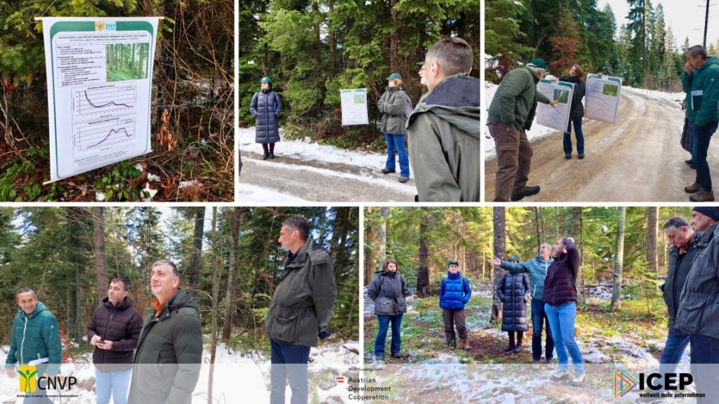 Montenegro Forest Stands Reviewed as Part of Drin River Basin Project