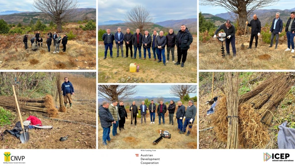 Improving Afforestation Practices to Combat Erosion in the Drin River Basin
