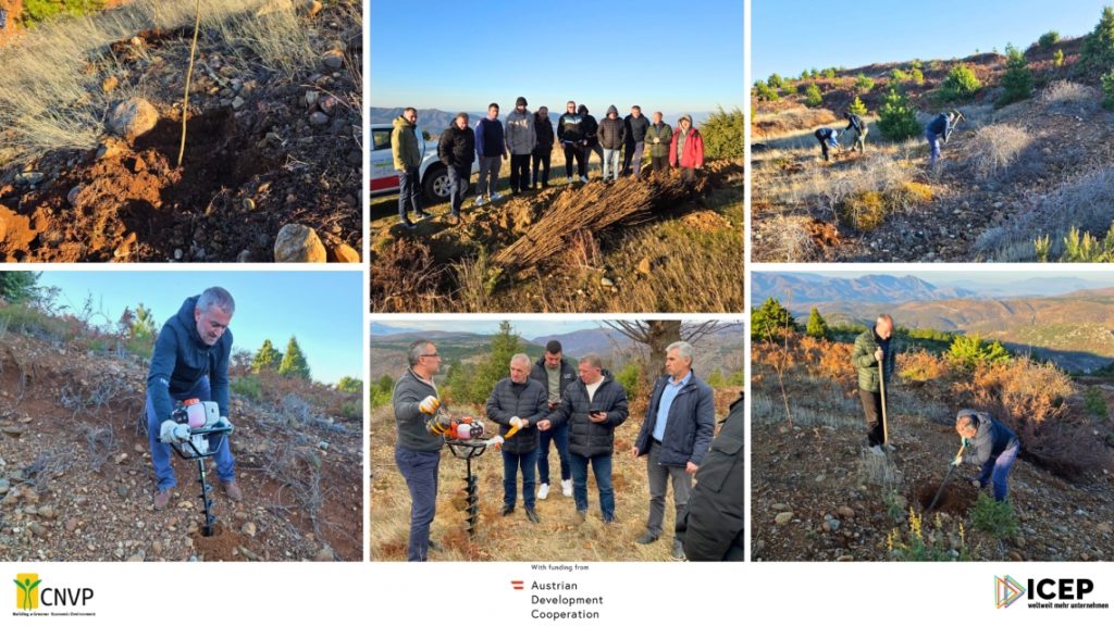 Afforestation Underway: Acacia Planting Starts in the Drin River Basin