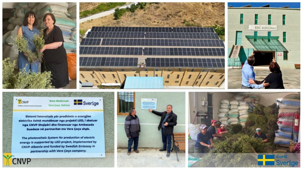 Powering Jobs with Green Energy: Vera Herbs’ Sustainable Growth with CNVP Albania