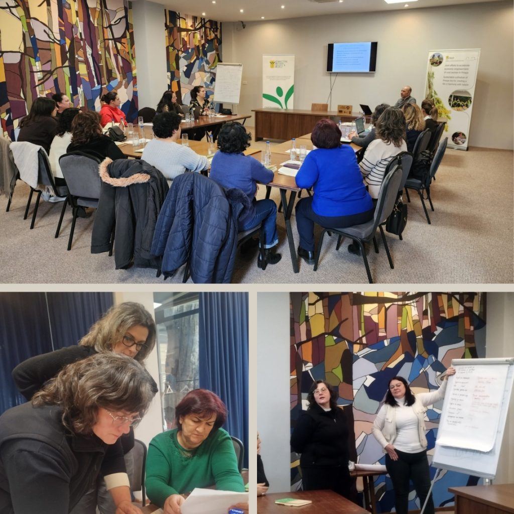 Empowering Rural Women of Prespa: Training on Non-Timber Forest Products