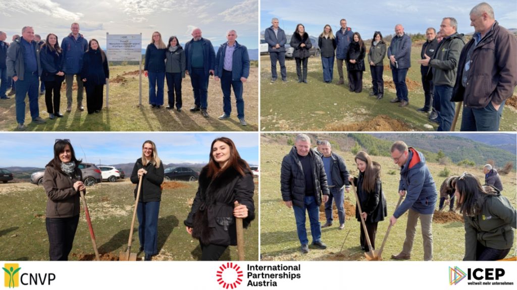 IFM Project Concludes Afforestation Phase in Pukë