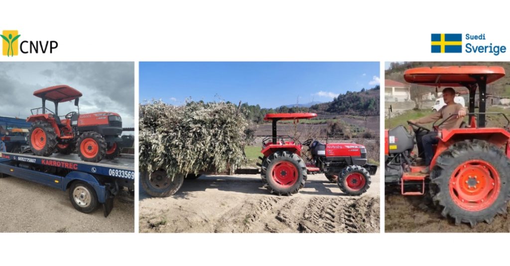 Mechanization Bringing Stability to Lavender Farming in Kushovë