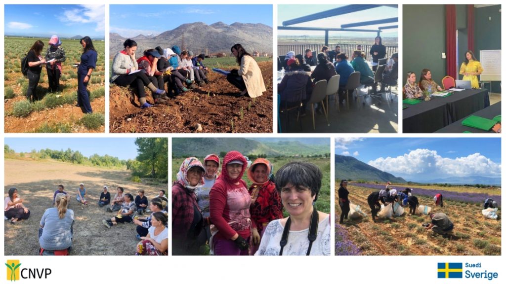 Women Leading Change in Albania’s MAPs Sector