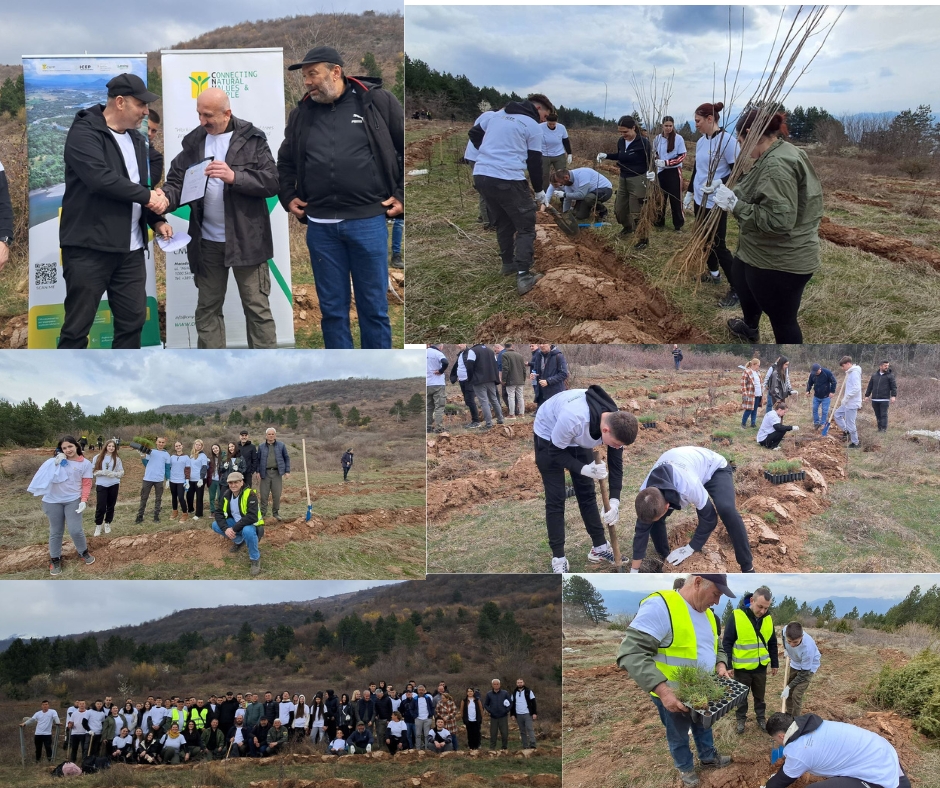 CNVP Skopje successfully organized a reforestation action in the Debar region, North Macedonia