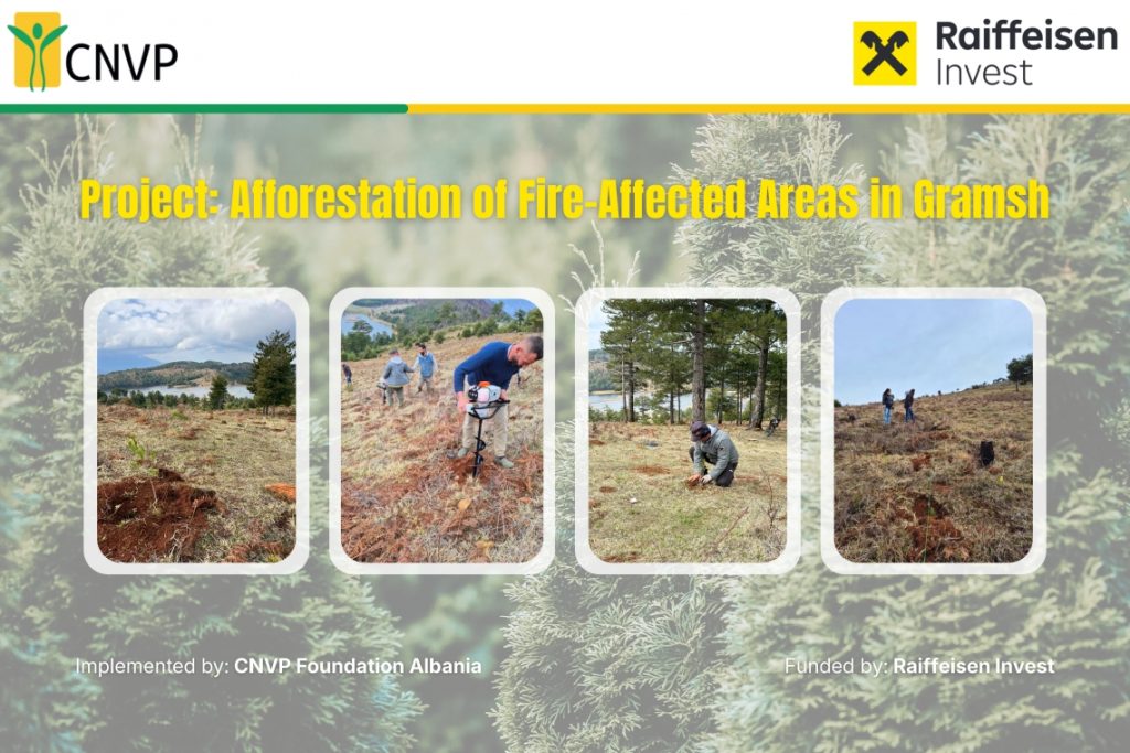 Restoring Forests, Rebuilding Hope: CNVP Launches Afforestation Initiative in Gramsh