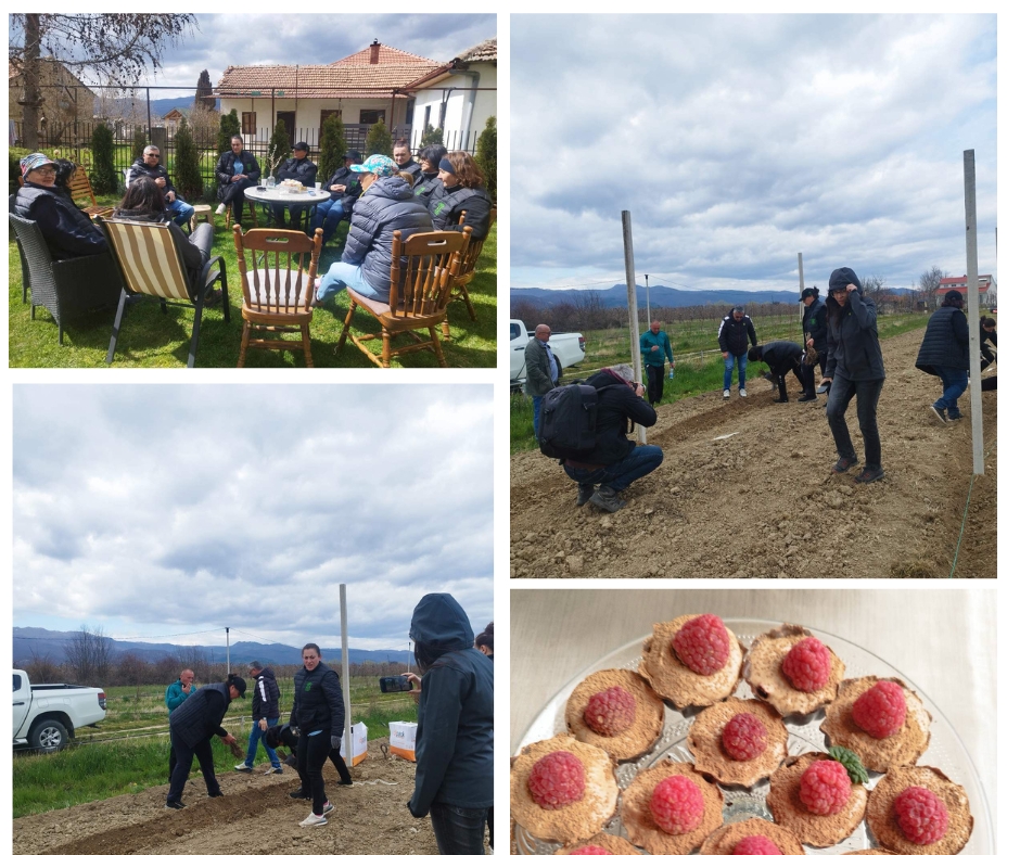 Empowering Rural Women: New Raspberry Plantation in Prespa, North Macedonia