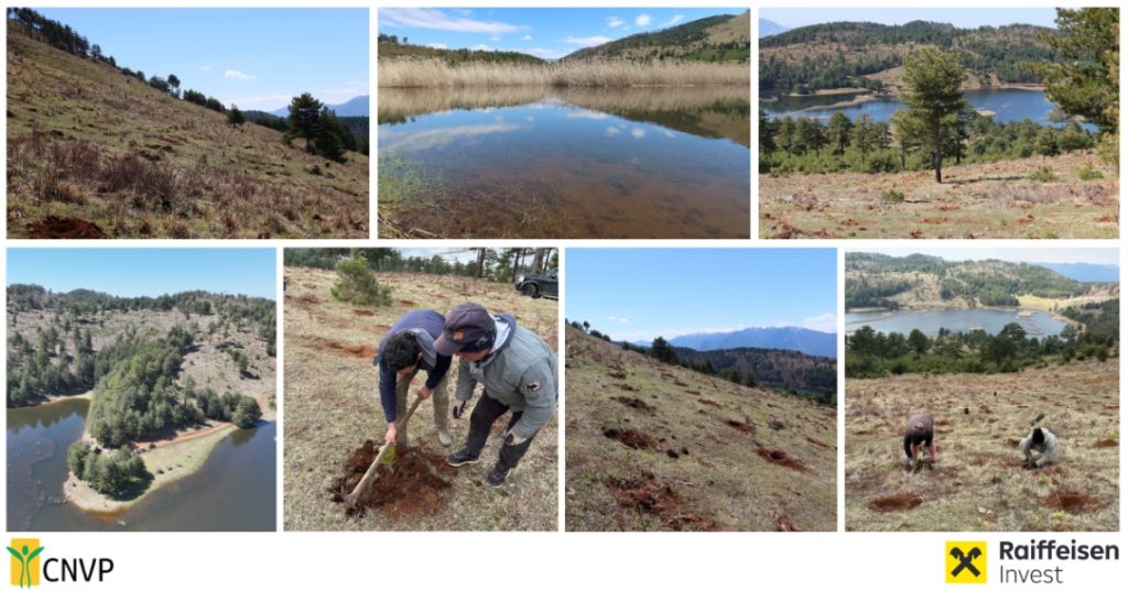 Rebuilding a Burned Landscape