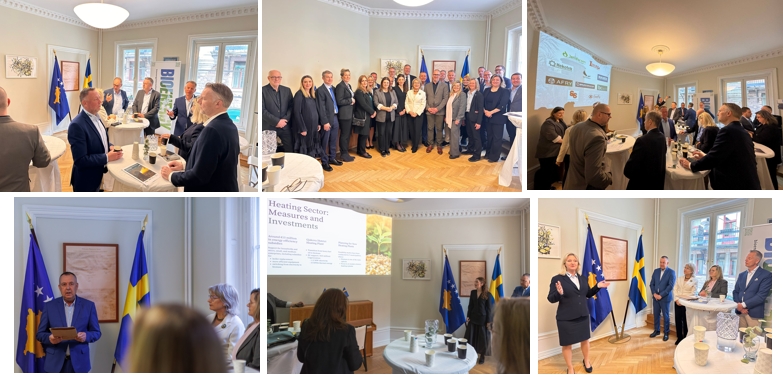 Strengthening Kosovo–Sweden Cooperation in Bioenergy
