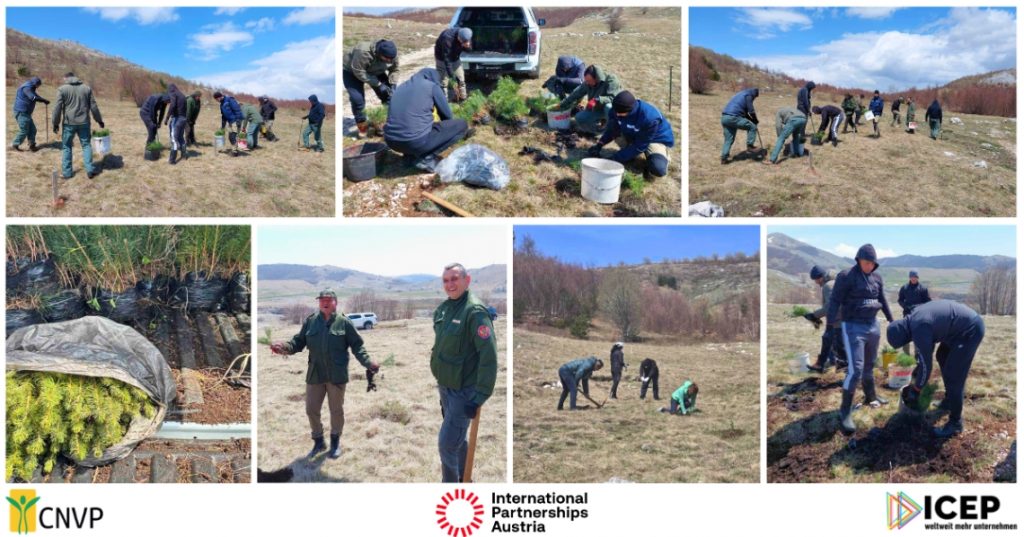 CNVP Restores Forest Life in Montenegro through the IFM Project