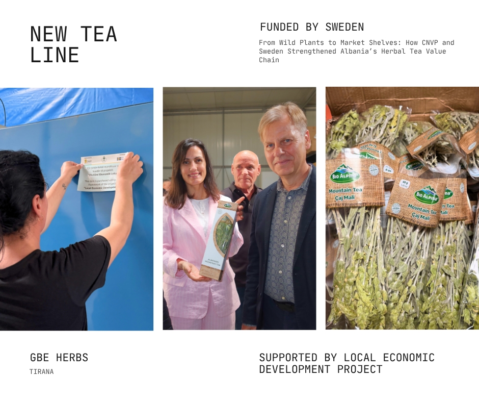 GBE Herbs: A Success Story Of Tea Production