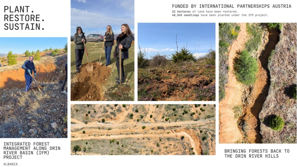 CNVP Albania completes afforestation under IFM