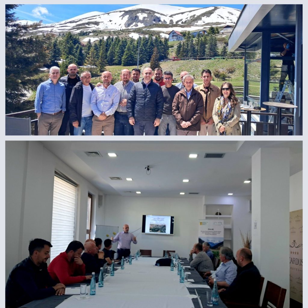CNVP North Macedonia successfully held its first 4Returns Concept workshop