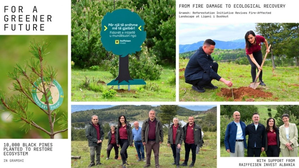 From Fire Damage to Ecological Recovery