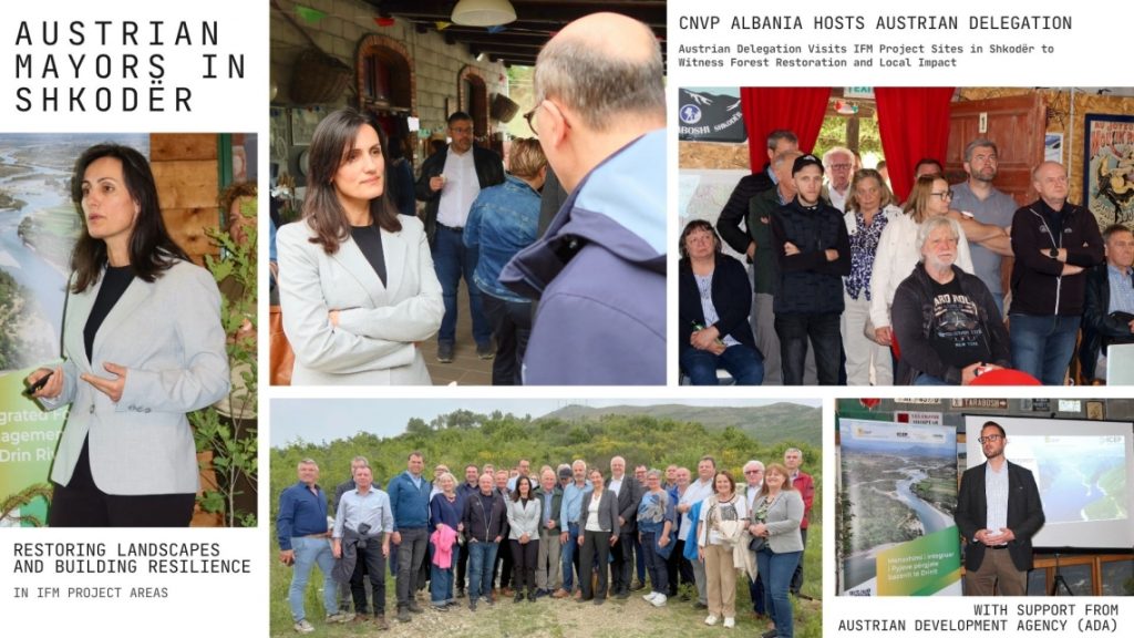 Austrian Delegation Witnesses Forest Recovery in Ana e Malit