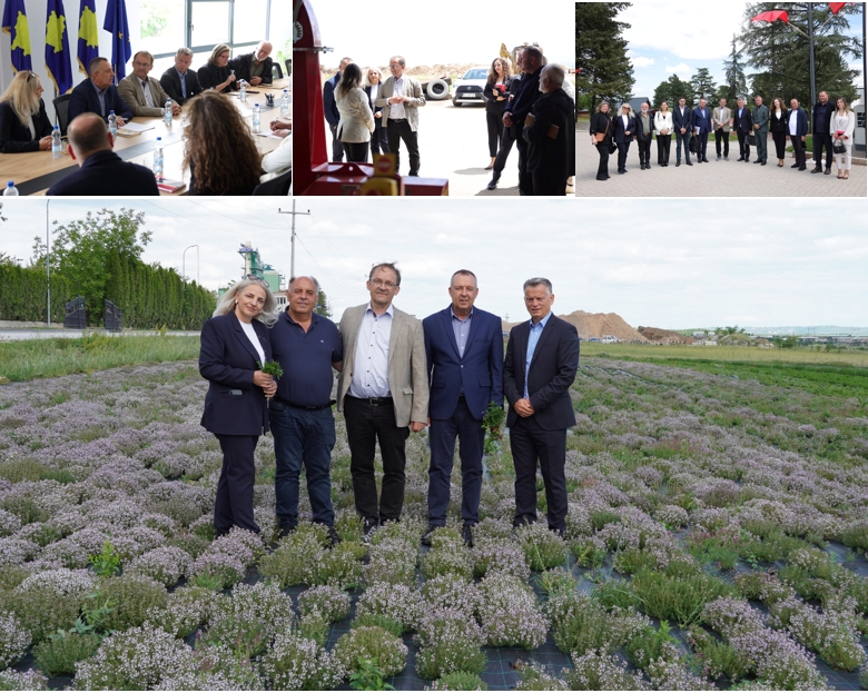 Exploring Sustainable Solutions in Deçan and Istog