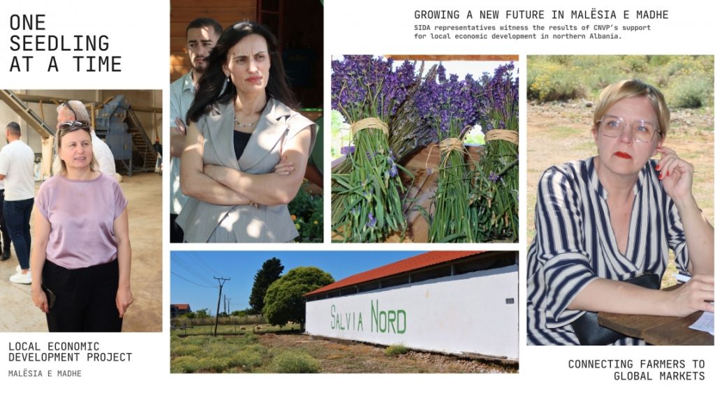 SIDA Delegation Sees Results of CNVP’s LED Project in Malësia e Madhe