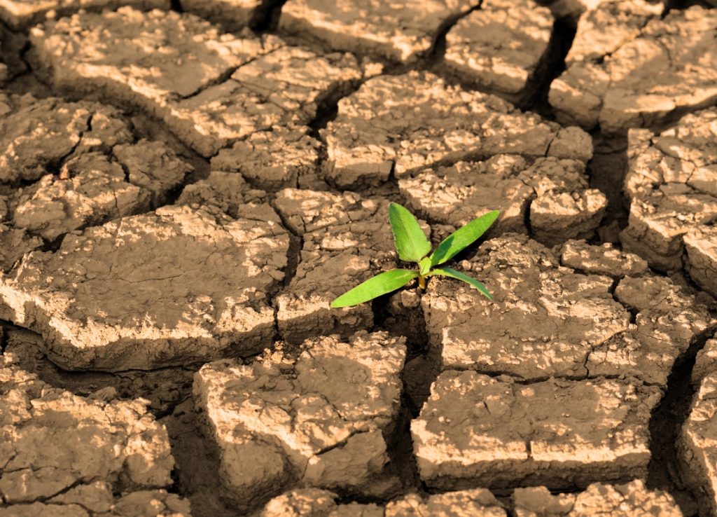 Communicating Climate Change
