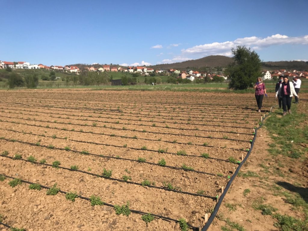 CNVP Promoting Women Entrepreneurship in Rural Areas