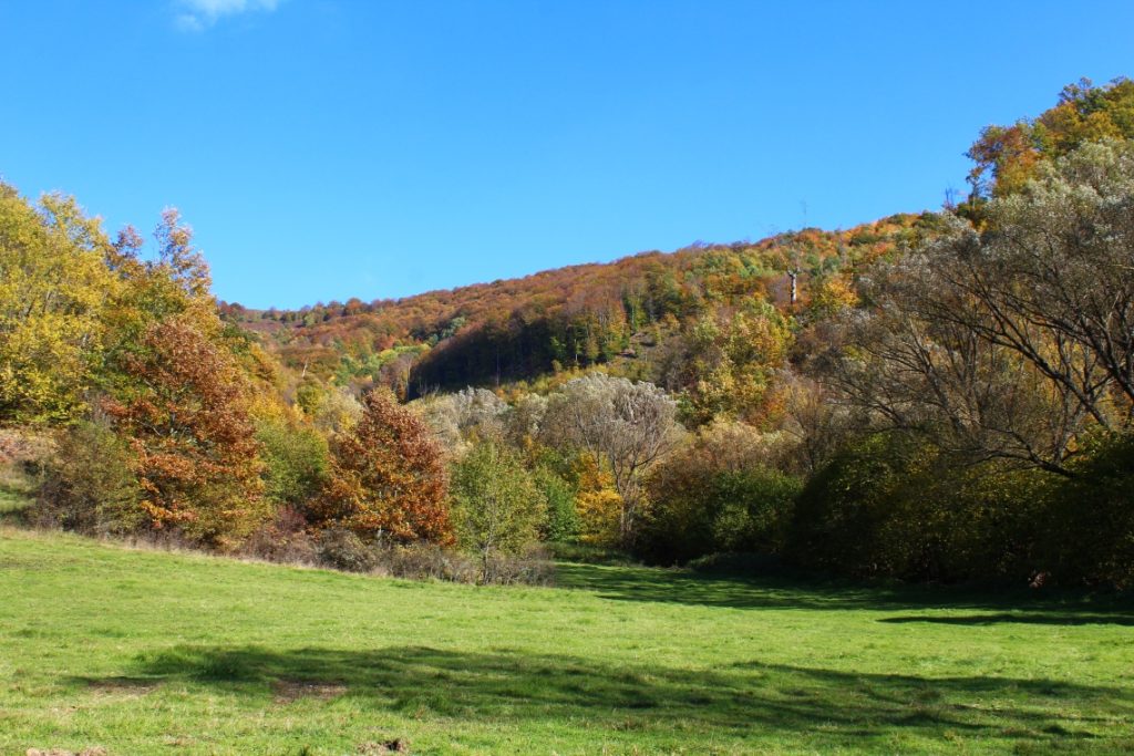 Sustainable Use of Natural Resources for Environment and Economic Development (SUNREED)